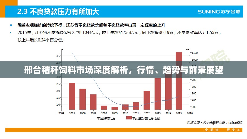 邢台秸秆饲料市场深度解析，行情、趋势与前景展望