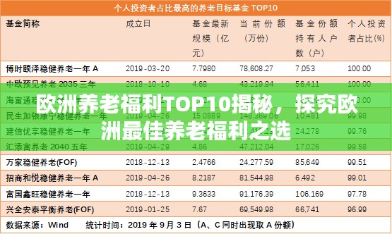 欧洲养老福利TOP10揭秘，探究欧洲最佳养老福利之选