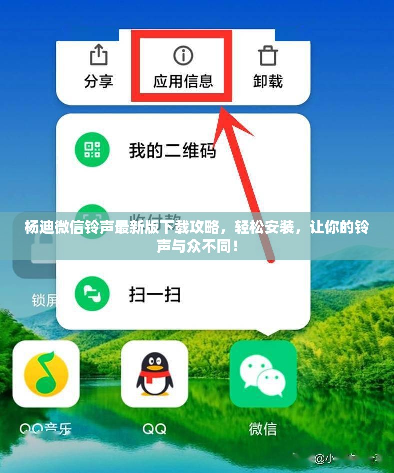 杨迪微信铃声最新版下载攻略，轻松安装，让你的铃声与众不同！