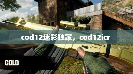 cod12迷彩独家，cod12icr 