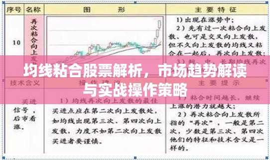 均线粘合股票解析，市场趋势解读与实战操作策略