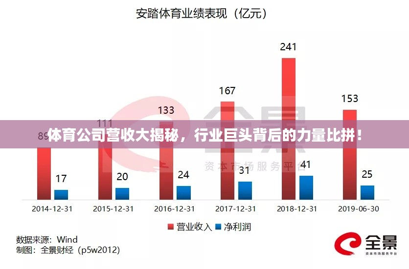 体育公司营收大揭秘，行业巨头背后的力量比拼！