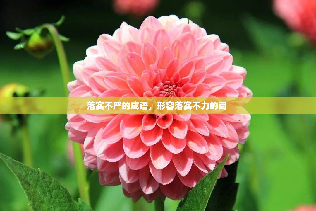 落实不严的成语，形容落实不力的词 