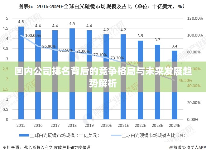 国内公司排名背后的竞争格局与未来发展趋势解析