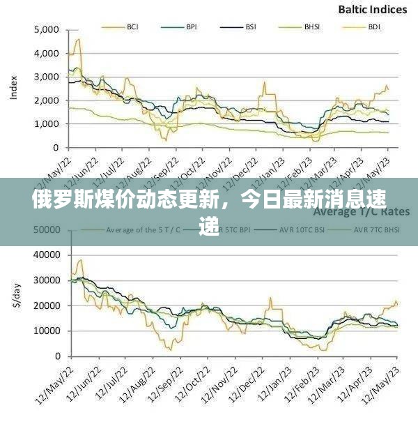 俄罗斯煤价动态更新，今日最新消息速递