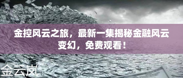 金控风云之旅，最新一集揭秘金融风云变幻，免费观看！