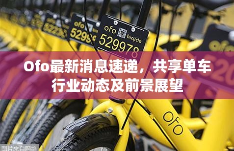 Ofo最新消息速递，共享单车行业动态及前景展望