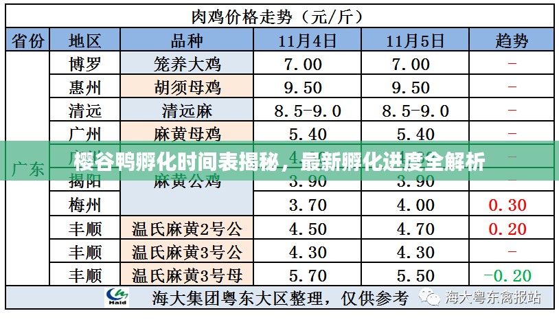 2025年2月15日 第3页