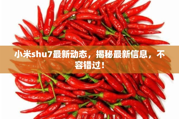 小米shu7最新动态，揭秘最新信息，不容错过！