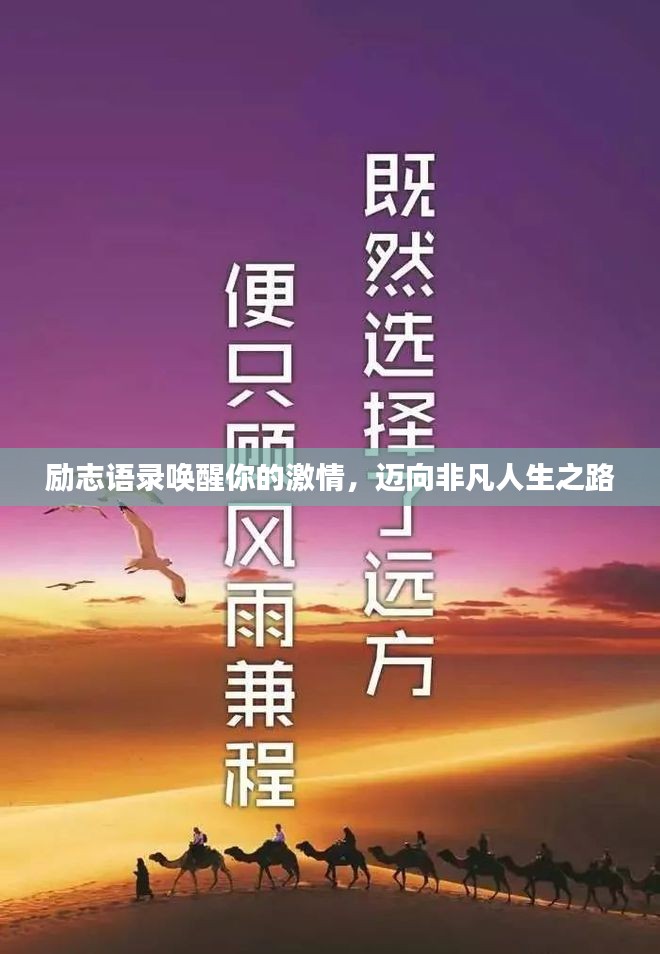 励志语录唤醒你的激情，迈向非凡人生之路