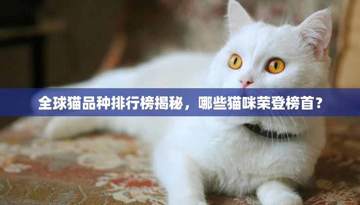 全球猫品种排行榜揭秘，哪些猫咪荣登榜首？