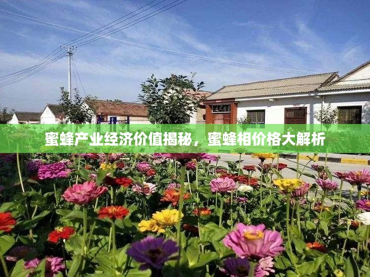 蜜蜂产业经济价值揭秘，蜜蜂相价格大解析