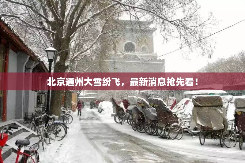 北京通州大雪纷飞，最新消息抢先看！