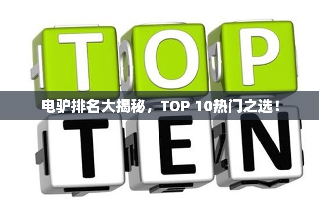 电驴排名大揭秘，TOP 10热门之选！