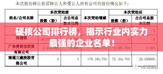 硬核公司排行榜，揭示行业内实力最强的企业名单！