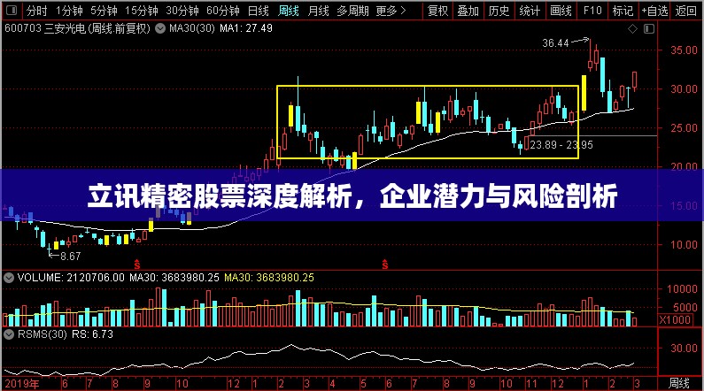 立讯精密股票深度解析，企业潜力与风险剖析