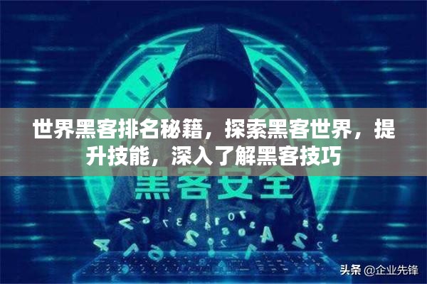 世界黑客排名秘籍，探索黑客世界，提升技能，深入了解黑客技巧