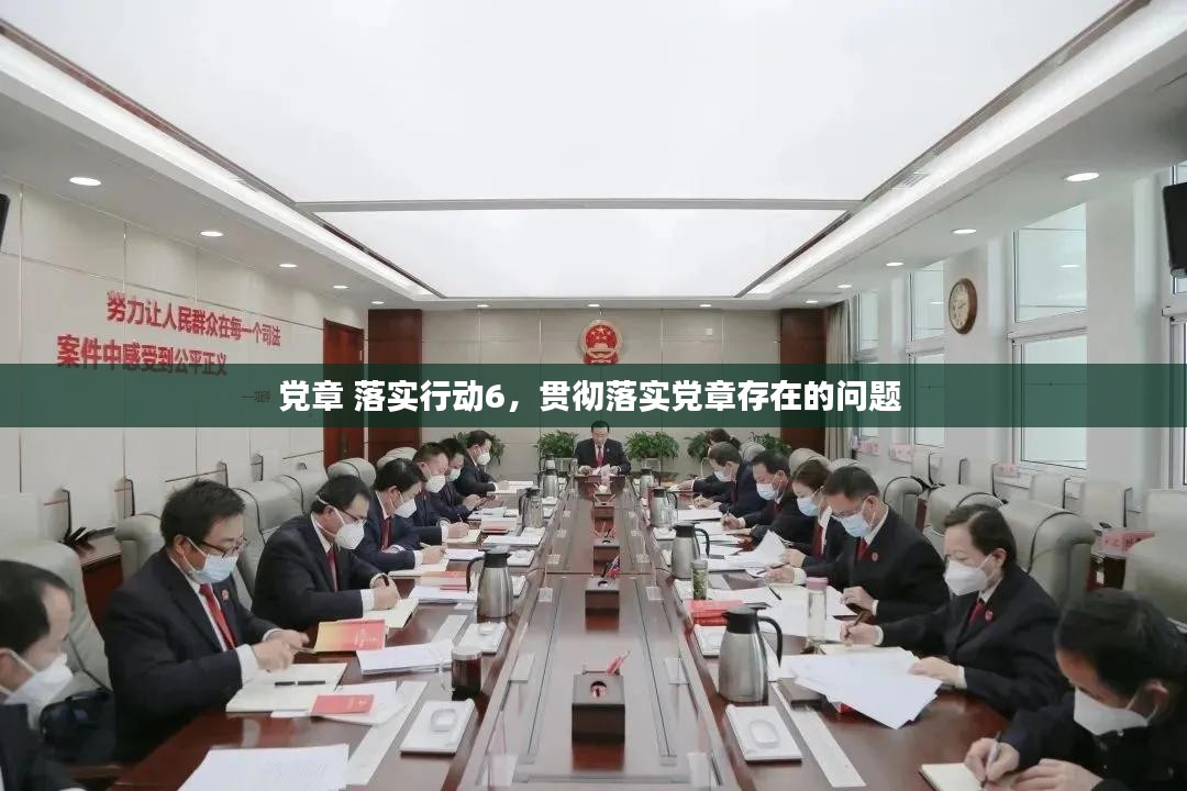 党章 落实行动6，贯彻落实党章存在的问题 