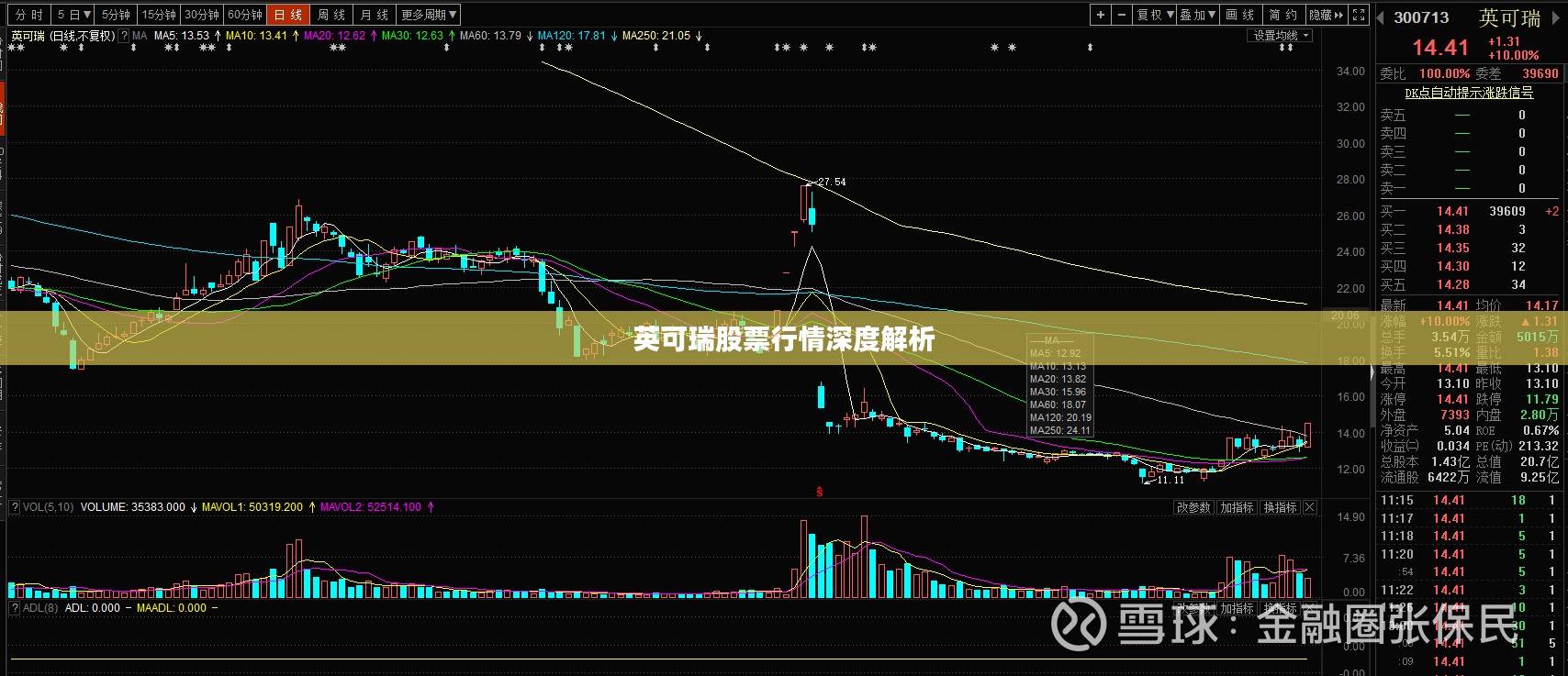 英可瑞股票行情深度解析