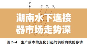 2025年2月20日 第12页