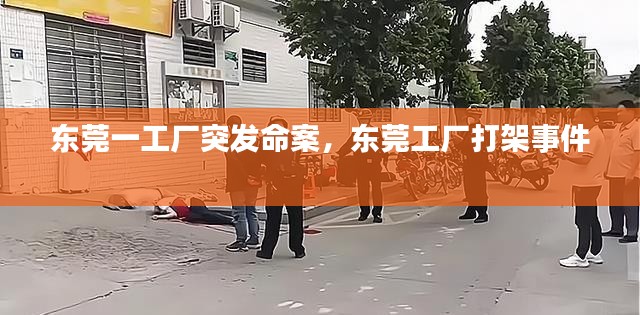 东莞一工厂突发命案，东莞工厂打架事件 