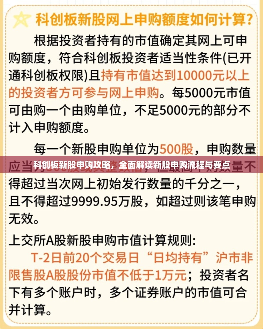 科创板新股申购攻略，全面解读新股申购流程与要点