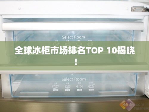 全球冰柜市场排名TOP 10揭晓！