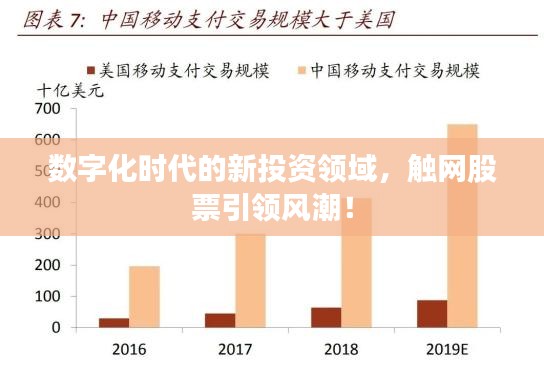 数字化时代的新投资领域，触网股票引领风潮！