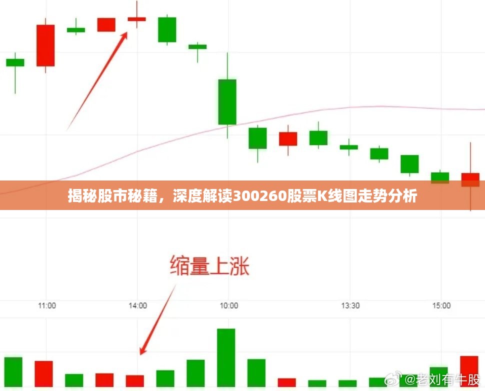 揭秘股市秘籍，深度解读300260股票K线图走势分析