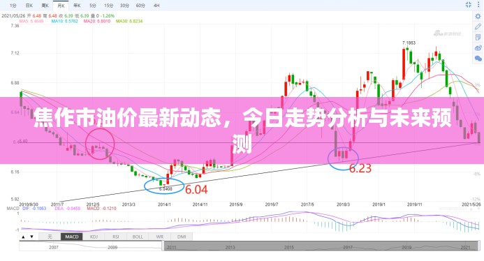 焦作市油价最新动态，今日走势分析与未来预测