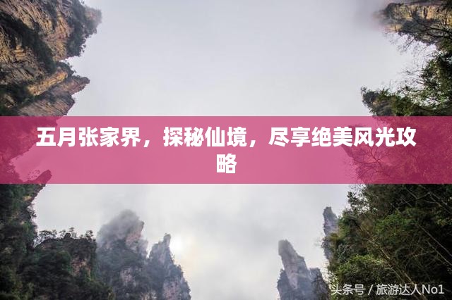 五月张家界，探秘仙境，尽享绝美风光攻略