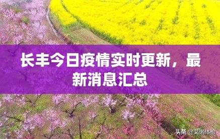 长丰今日疫情实时更新，最新消息汇总