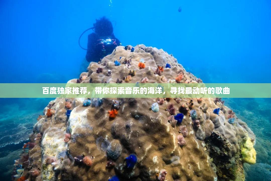 百度独家推荐，带你探索音乐的海洋，寻找最动听的歌曲