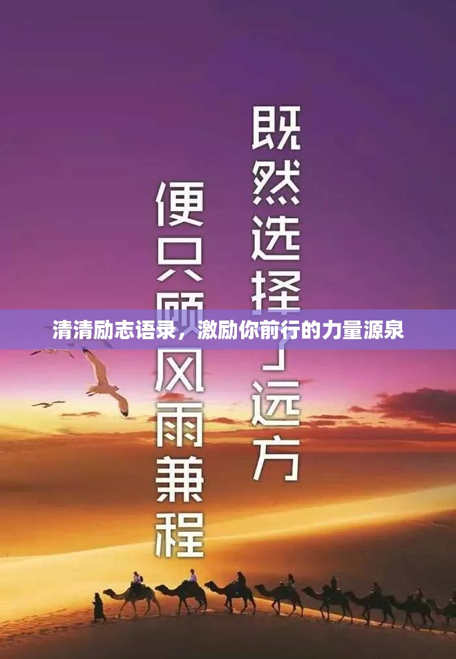 清清励志语录，激励你前行的力量源泉