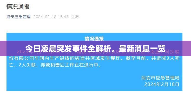 今日凌晨突发事件全解析，最新消息一览