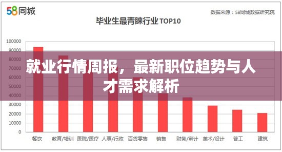 就业行情周报，最新职位趋势与人才需求解析