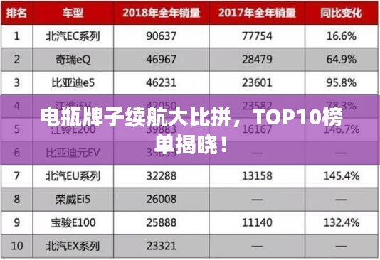 电瓶牌子续航大比拼，TOP10榜单揭晓！