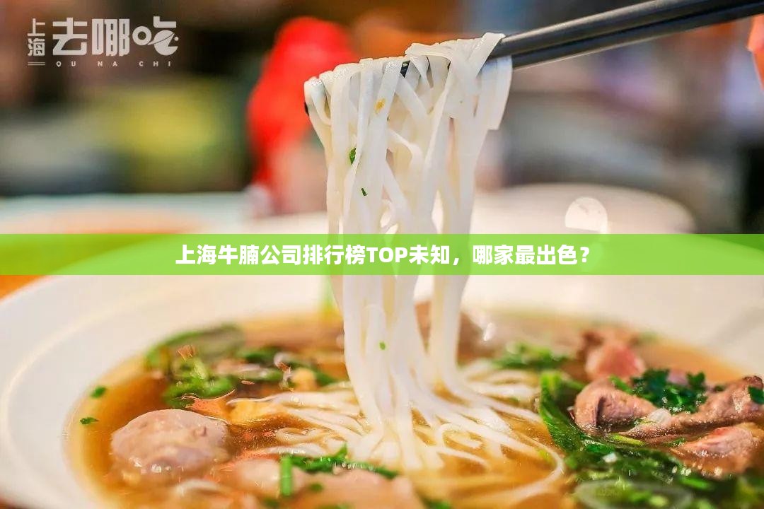 上海牛腩公司排行榜TOP未知，哪家最出色？