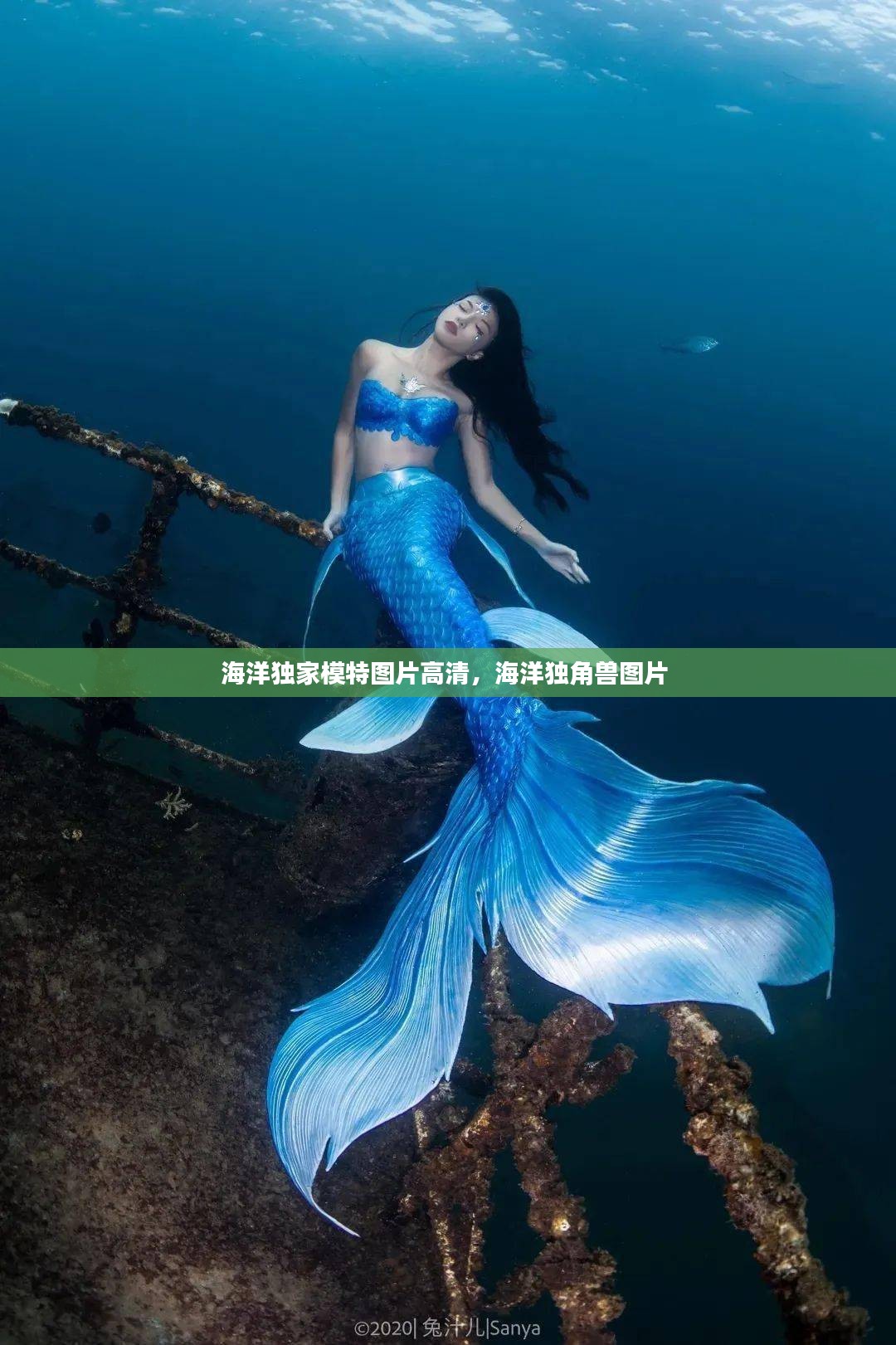 海洋独家模特图片高清，海洋独角兽图片 