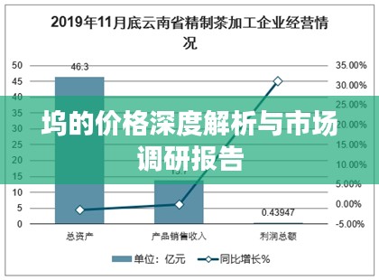 坞的价格深度解析与市场调研报告