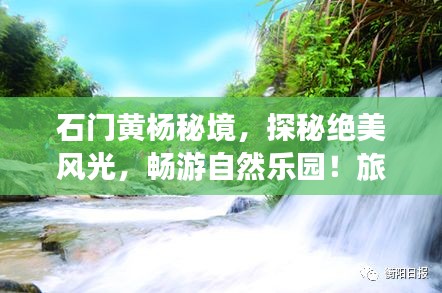 石门黄杨秘境，探秘绝美风光，畅游自然乐园！旅游攻略大揭秘！