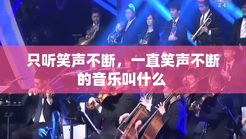 只听笑声不断，一直笑声不断的音乐叫什么 