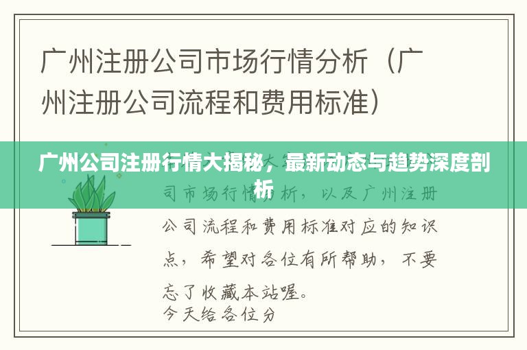 广州公司注册行情大揭秘，最新动态与趋势深度剖析