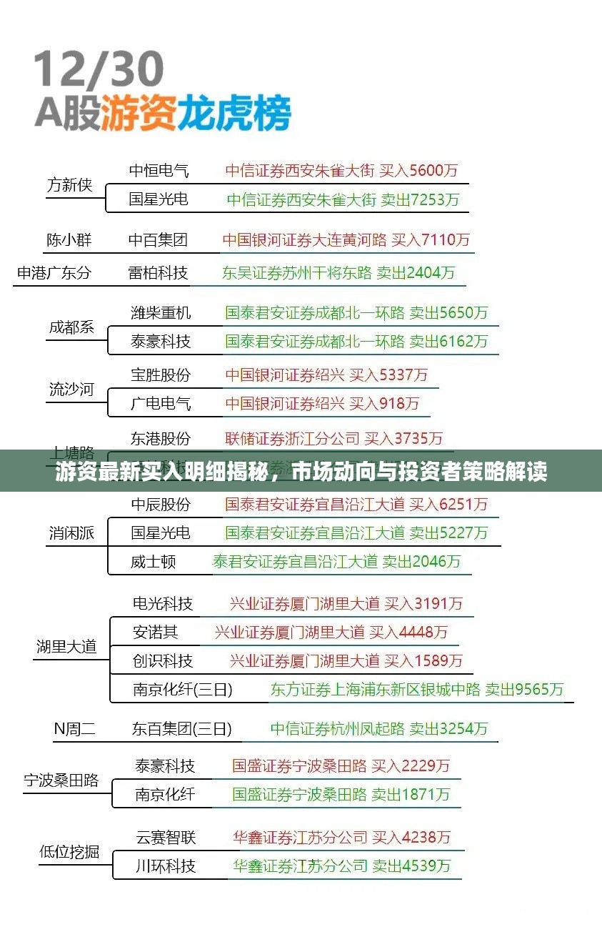 游资最新买入明细揭秘，市场动向与投资者策略解读