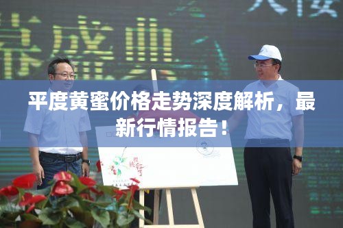 平度黄蜜价格走势深度解析，最新行情报告！