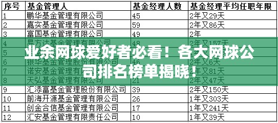 业余网球爱好者必看！各大网球公司排名榜单揭晓！