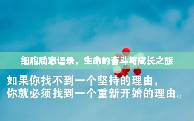 细胞励志语录，生命的奋斗与成长之旅