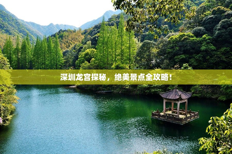 深圳龙宫探秘，绝美景点全攻略！