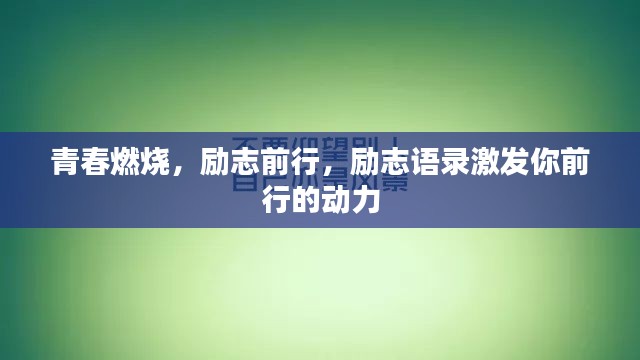 2025年5月15日